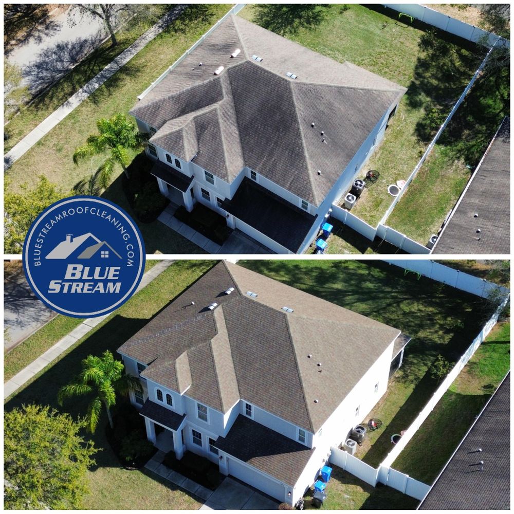 All Photos for Blue Stream Roof Cleaning & Pressure Washing in Tampa, FL
