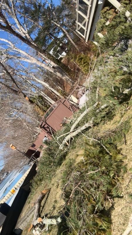 All Photos for Dwights Tree Service in Middleborough, MA