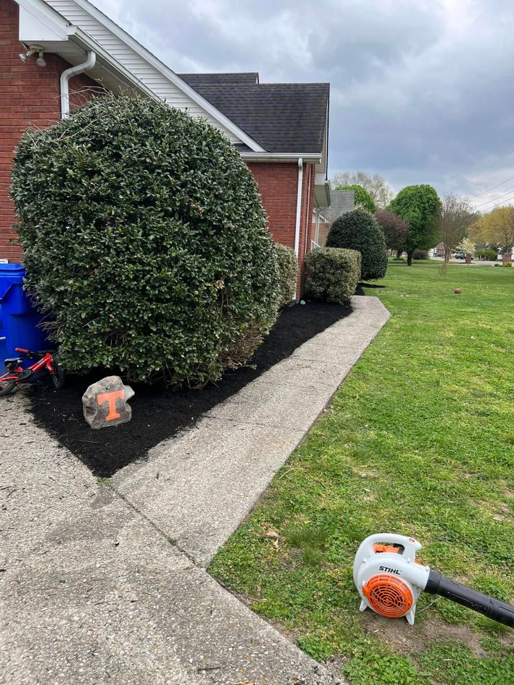 Enhance your garden's beauty with our professional shrub trimming service, ensuring healthy growth and polished appearances. Our expert team meticulously shapes and maintains shrubs, boosting curb appeal and maintaining landscape vitality for your home. for Southern Hardscape’s & Landscaping in White House, TN