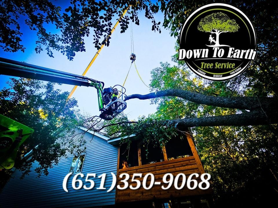 All Photos for Down To Earth Tree Service in Red Wing,  Minnesota