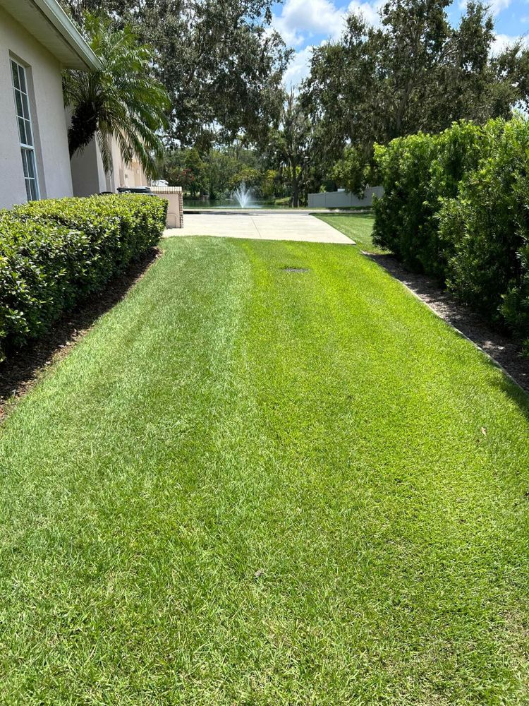 All Photos for Estrada All Pro Lawn Service in Auburndale, Florida