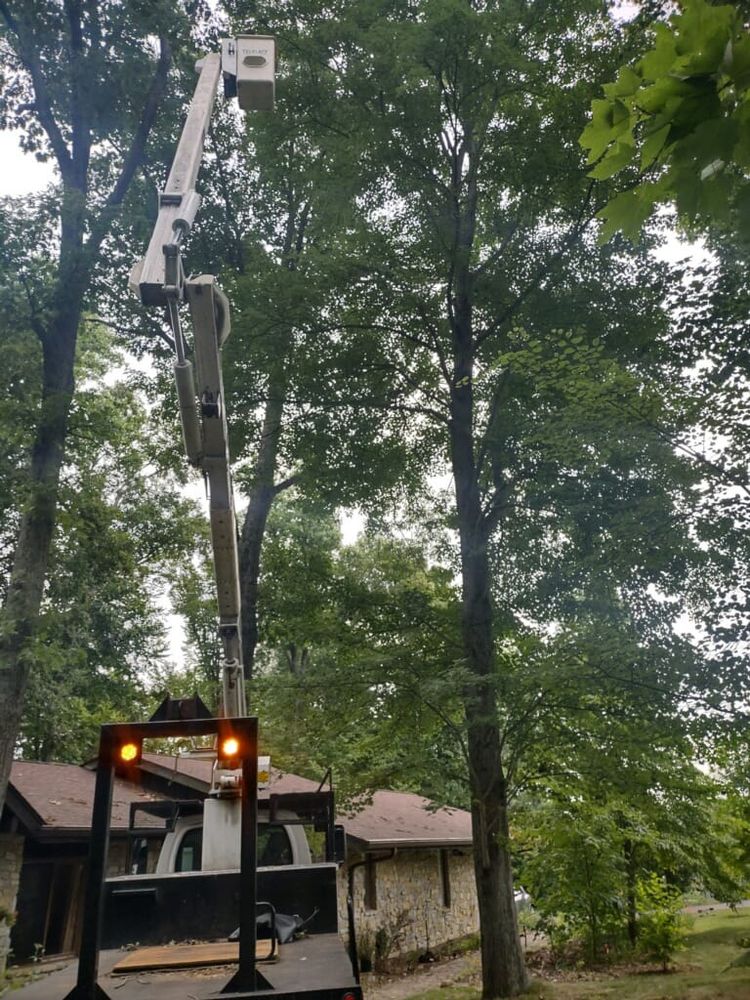 Tree Removal for Lightning Tree Service in Corydon, IN