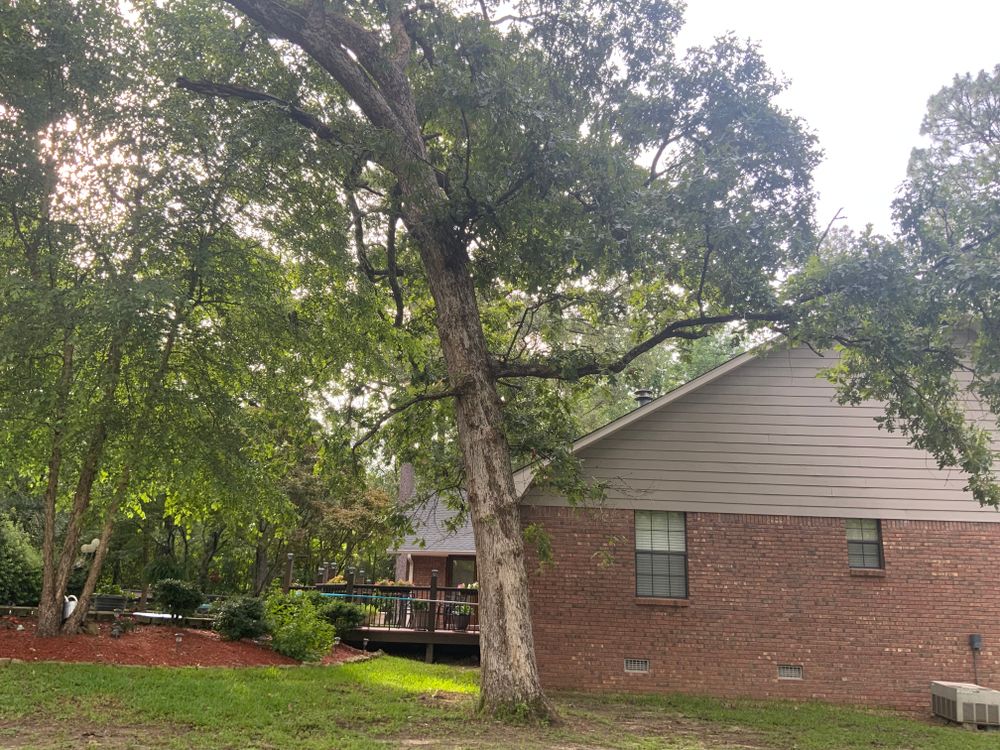 All Photos for Broadway & McMullen Construction in Hattiesburg, MS