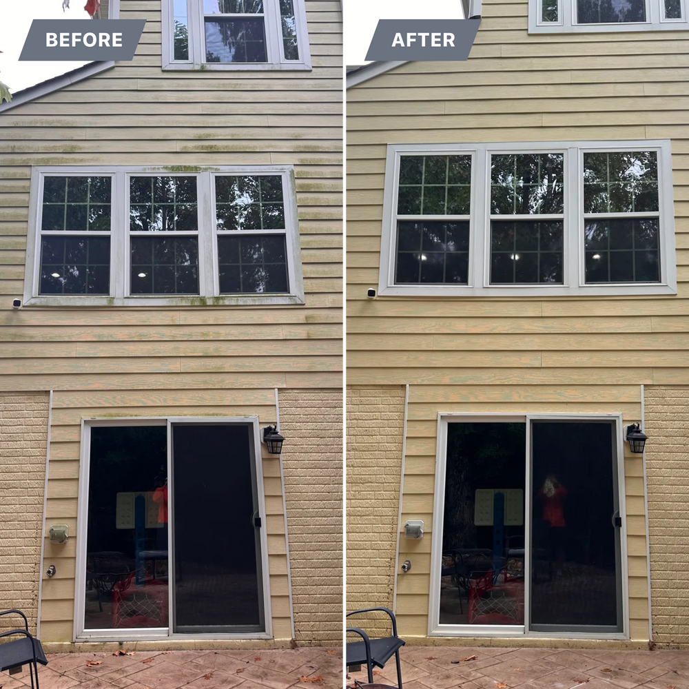 All Photos for LeafTide Solutions in Richmond, VA