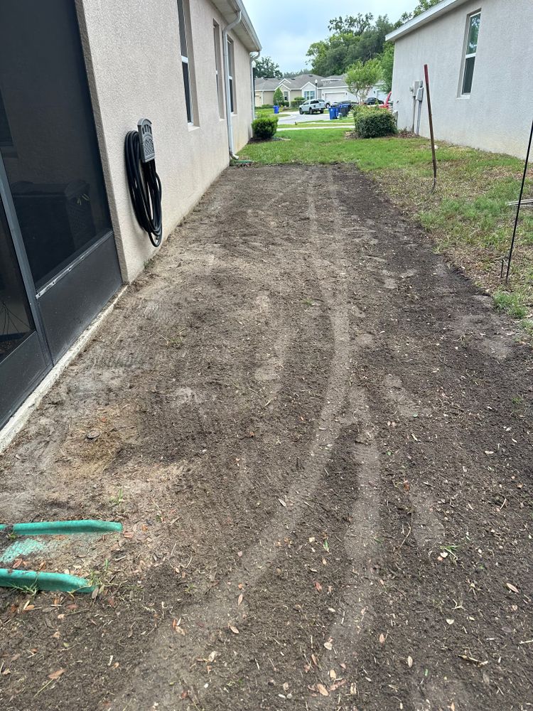All Photos for Gulf Bay Sod in Clearwater, FL