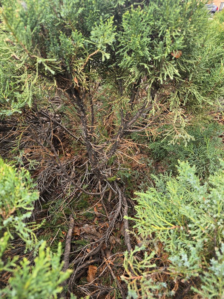All Photos for LRS: Landscape, Rescue, Snow in Silt, CO