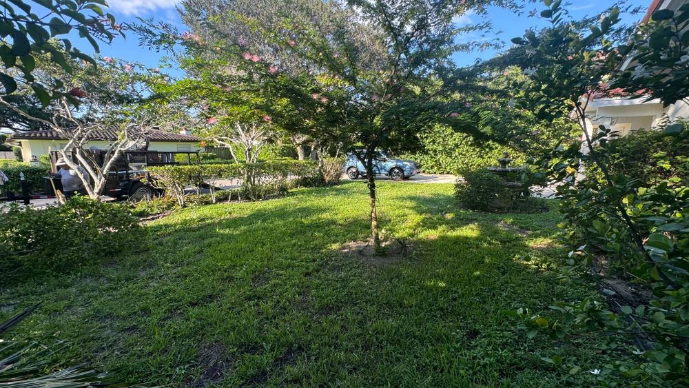 New Photo Uploads for South Florida Terra Systems in Boca Raton, FL