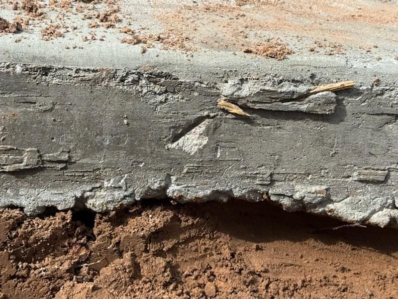 All Photos for Delarosa Concrete & Stamping in Pearland, TX