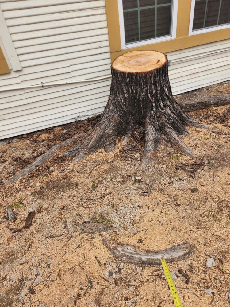 All Photos for Paquito's Landscaping in Ellis County, TX