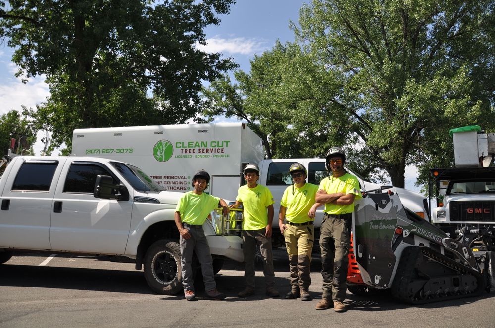 All Photos for Clean Cut Tree Service in Gillette, WY