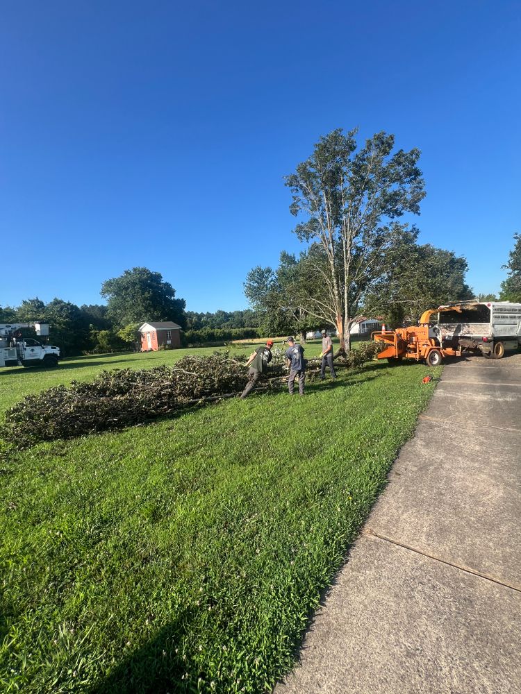 All Photos for Brooks Tree Service in Casar, NC