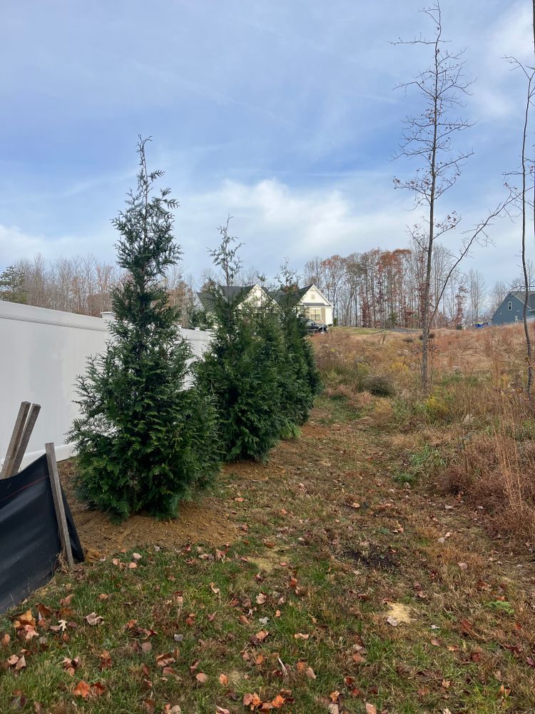 All Photos for Atlas Home Services in Mechanicsville, VA