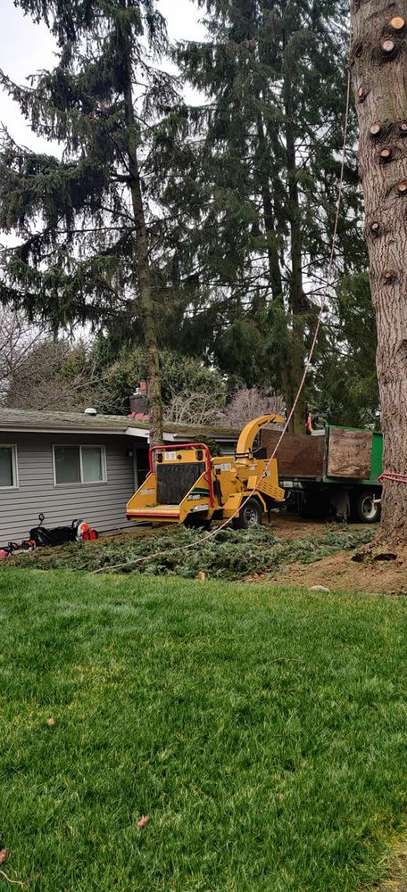 A&J WA Tree Services team in Kent, WA - people or person