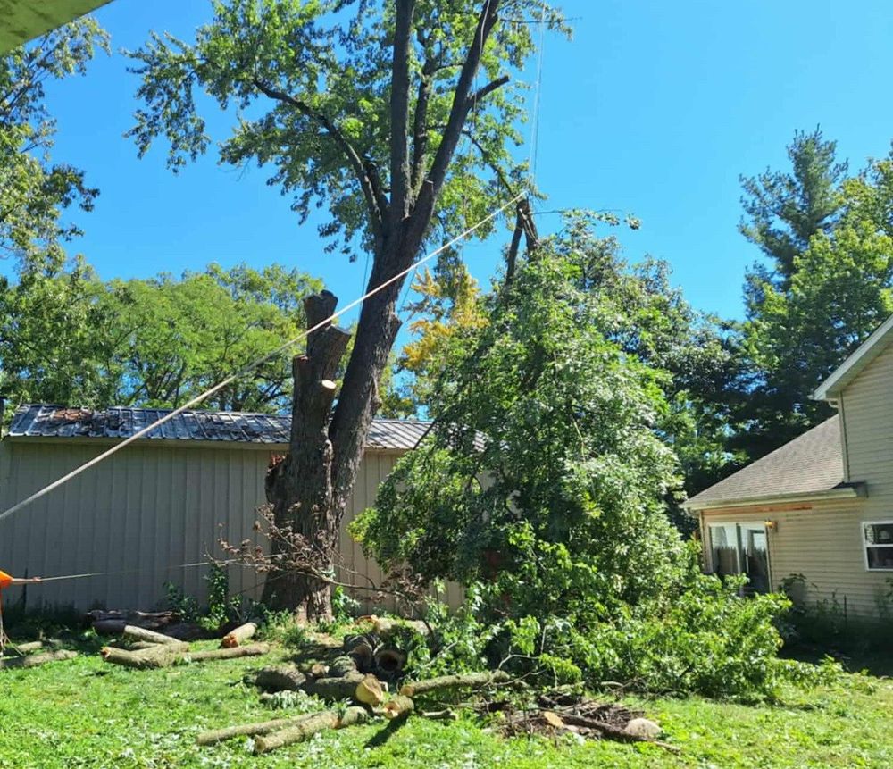 All Photos for Highborn Tree Service in Wheatfield, IN