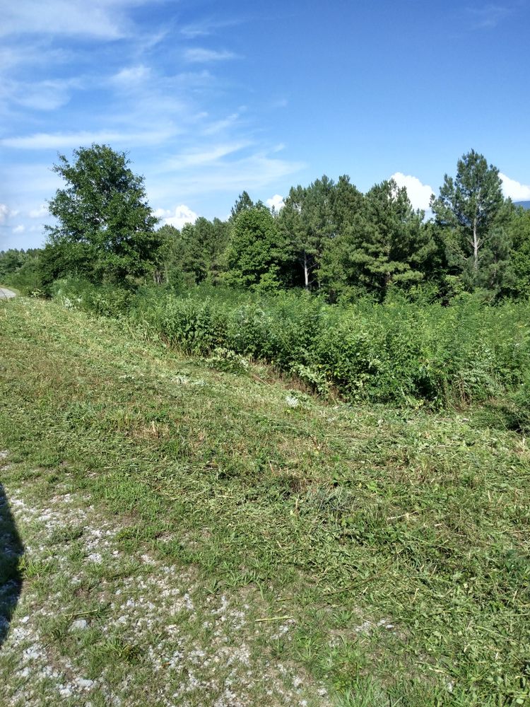 All Photos for KWL Lawn Care in Etowah, TN