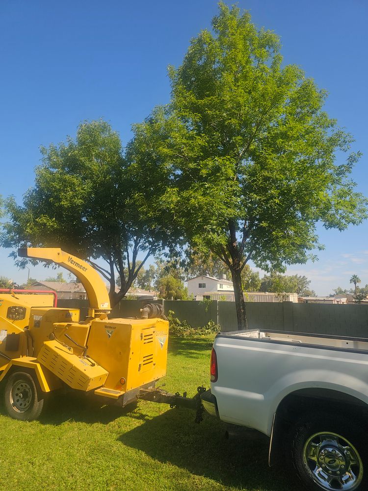 All Photos for T's Tree Service and Firewood in Apache Junction, AZ