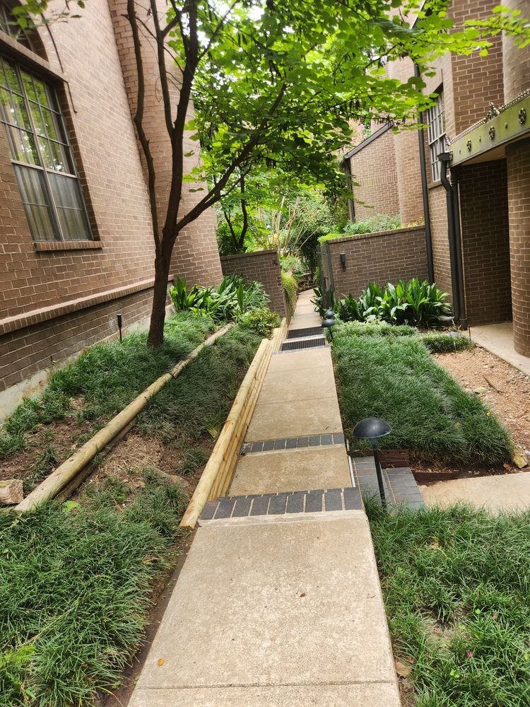 All Photos for Right Choice Landscaping LLC in Houston, TX