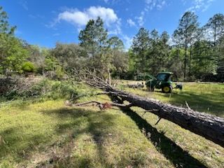 All Photos for Southern Venom Services in Daphne, AL