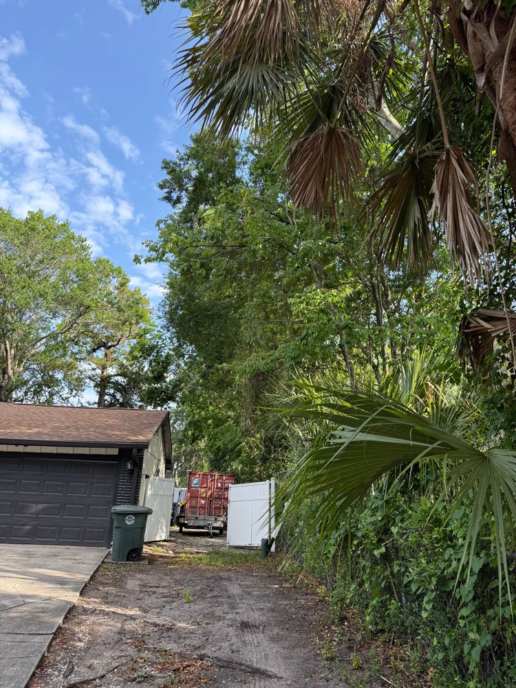 All Photos for Daniel Hickey’s Tree Service in DeLand, FL