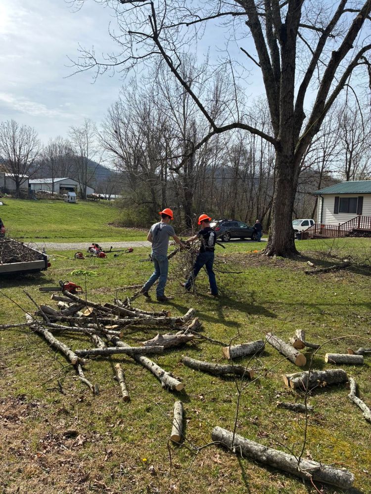 Our Tree Removal service safely removes hazardous, damaged, or unwanted trees from your property using professional equipment and expert care, protecting your home, landscape, and family throughout every step. for Skys The Limit Tree Management in Morehead, KY
