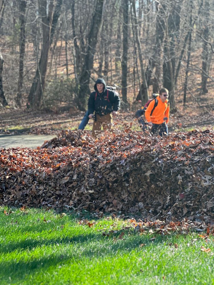 Weekly Lawn Maintenance for Ace Landscaping in Trumbull, CT