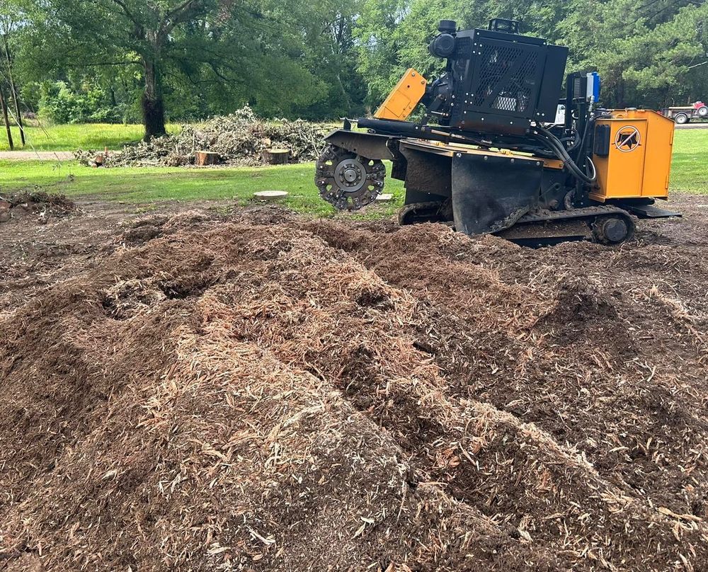 All Photos for Action Tree & Debris Removal in Jackson,  MS
