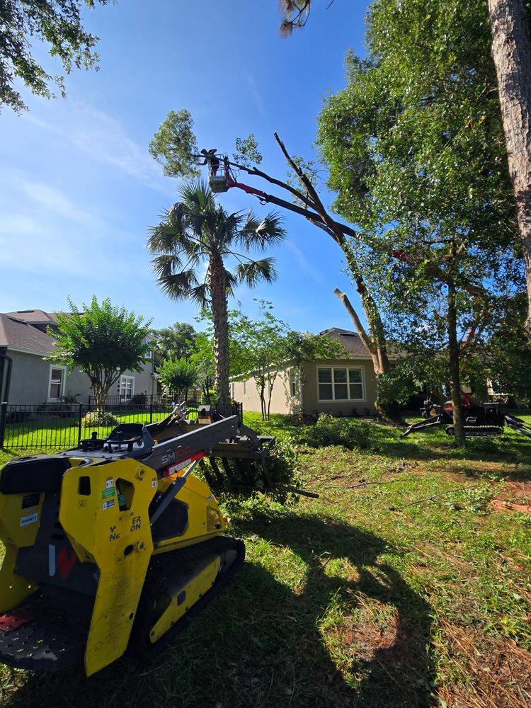 All Photos for Near Me Tree Service, Inc. in DeLand, FL