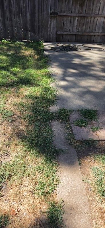All Photos for Logan's Dump Run in Chico, CA