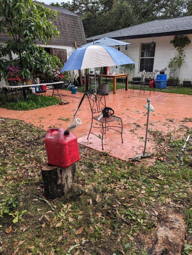 All Photos for Regal Tree Service and Stump Grinding in Wauchula, FL
