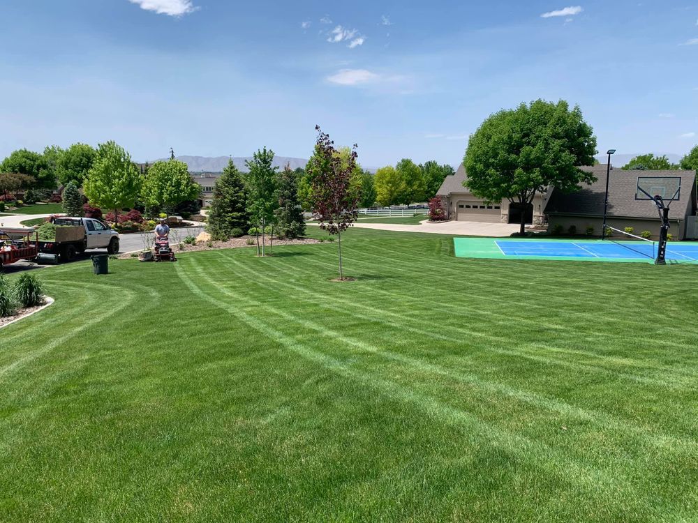 All Photos for Platinum Lawn Service in Santaquin, UT