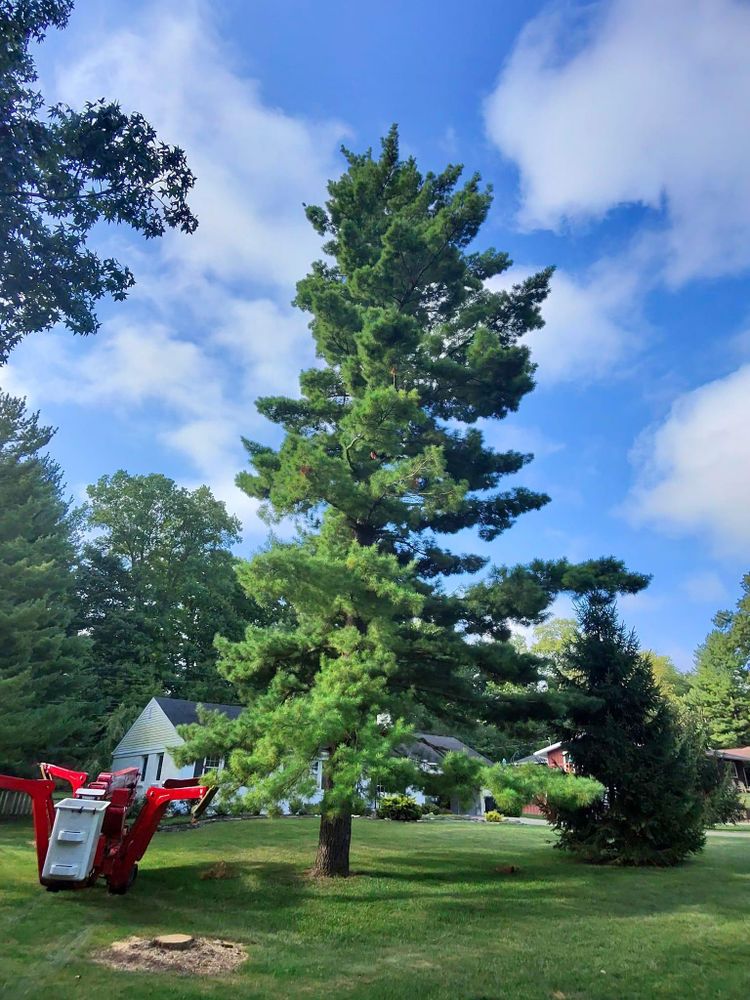 All Photos for F & F Tree Service in Beavercreek, OH