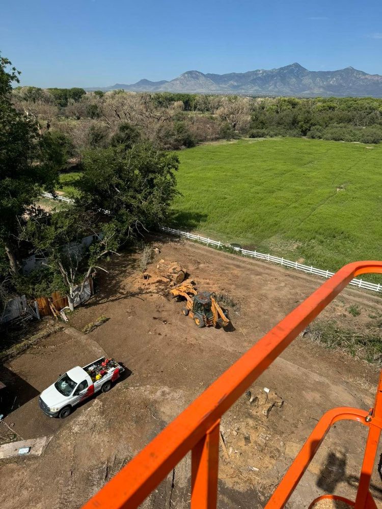 Stump Removal for By Faith Landscaping in Sierra Vista, AZ