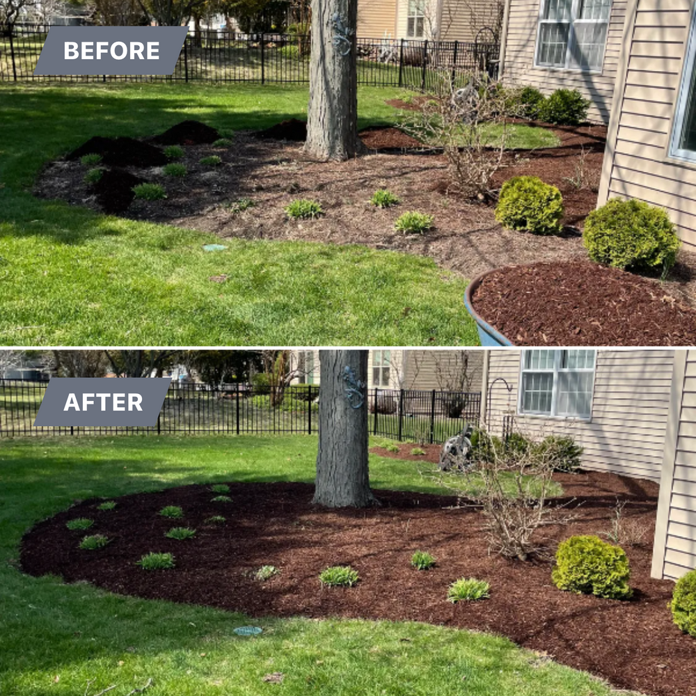 All Photos for MDR Landscaping in Urbana, IL