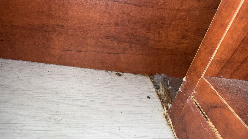 All Photos for Surplus Public Adjusters in Miami-Dade County, FL