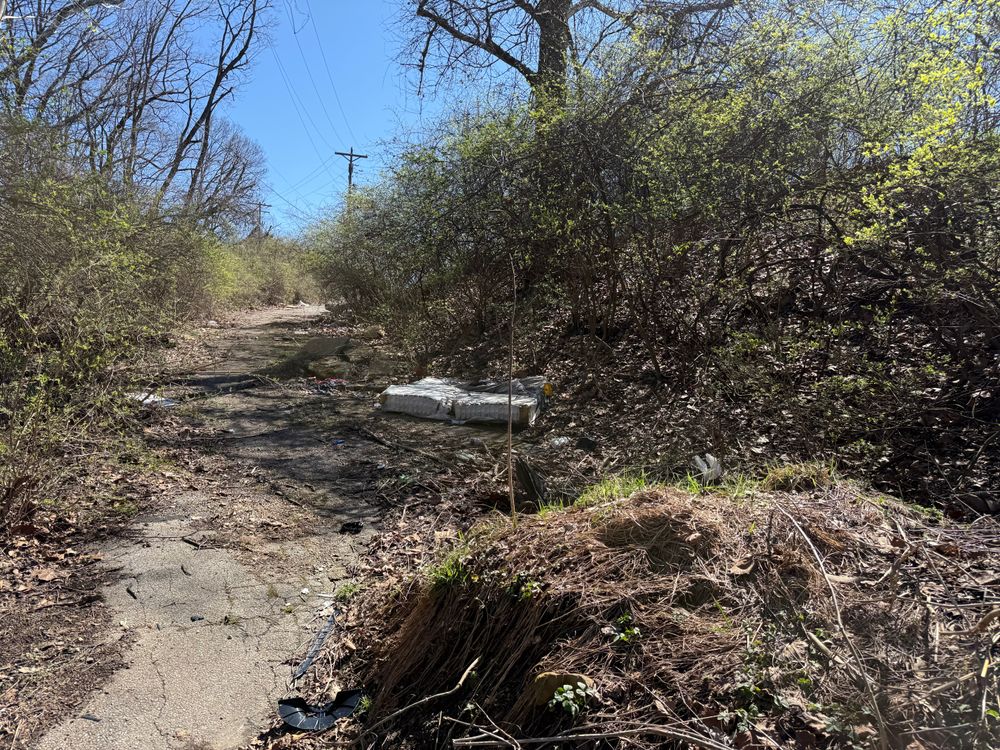 All Photos for A1 Bush Hogging & Lawn Service in London, OH