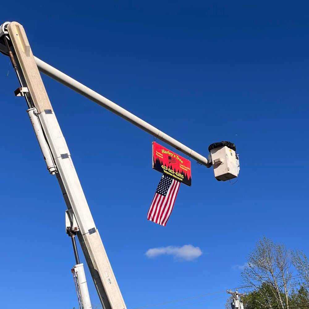 Tree Removal for Harley’s Tree Service in Palmer, MA