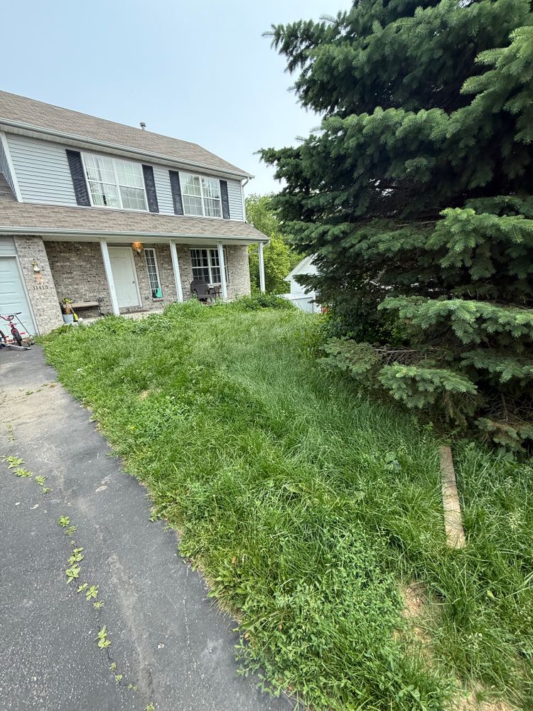 All Photos for B&G Lawn Care in Roscoe, IL