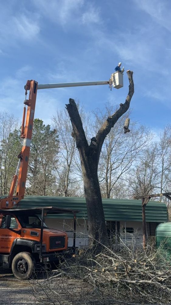 All Photos for Curtis Tree Service LLC in Hopkins County, KY