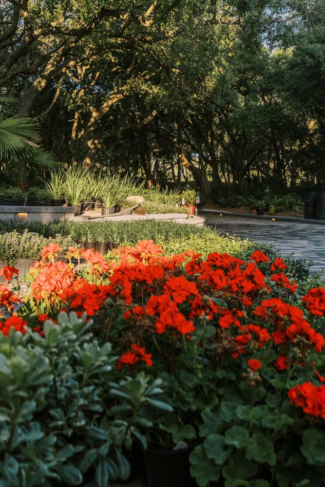 All Photos for Pro Designs Landscaping in Jacksonville, FL