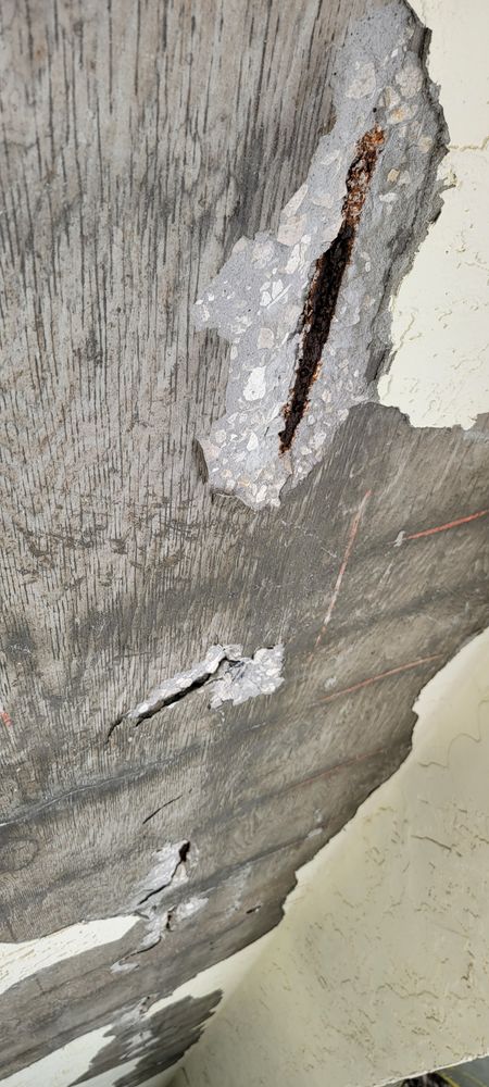 All Photos for Millenium Construction & Property Management in Tampa, FL