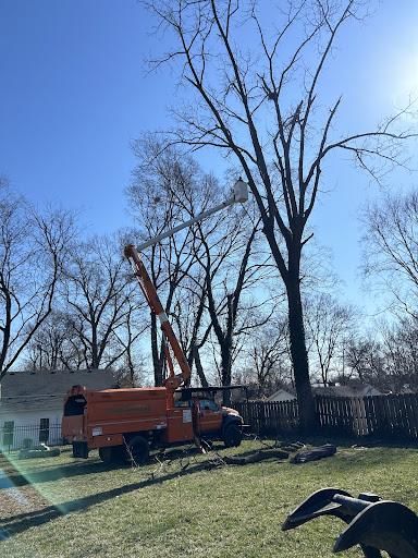 Tree Service for Transforming Landscaping & Tree Service in Bowling Green, KY