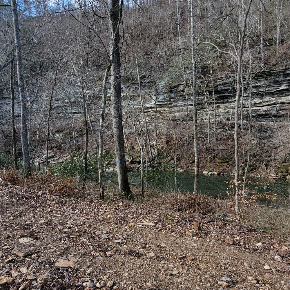 All Photos for Z's Land Management & Forestry Mulching in Smithville, TN