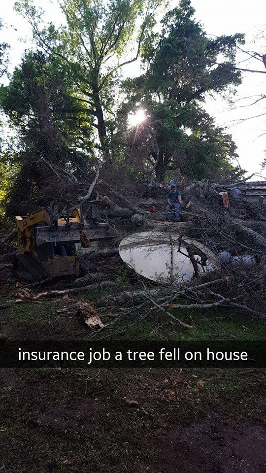 All Photos for Morace Tree Service in Natchez,,  MS