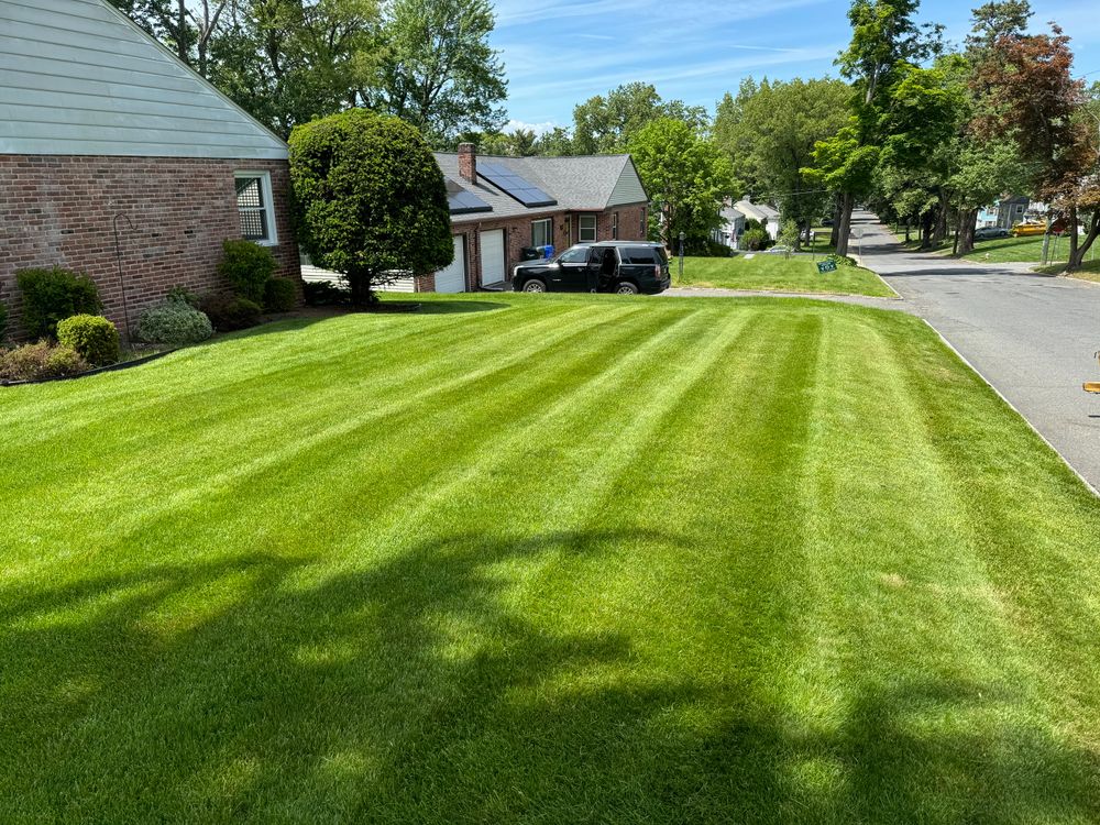 All Photos for Adams Landscaping in Springfield, MA