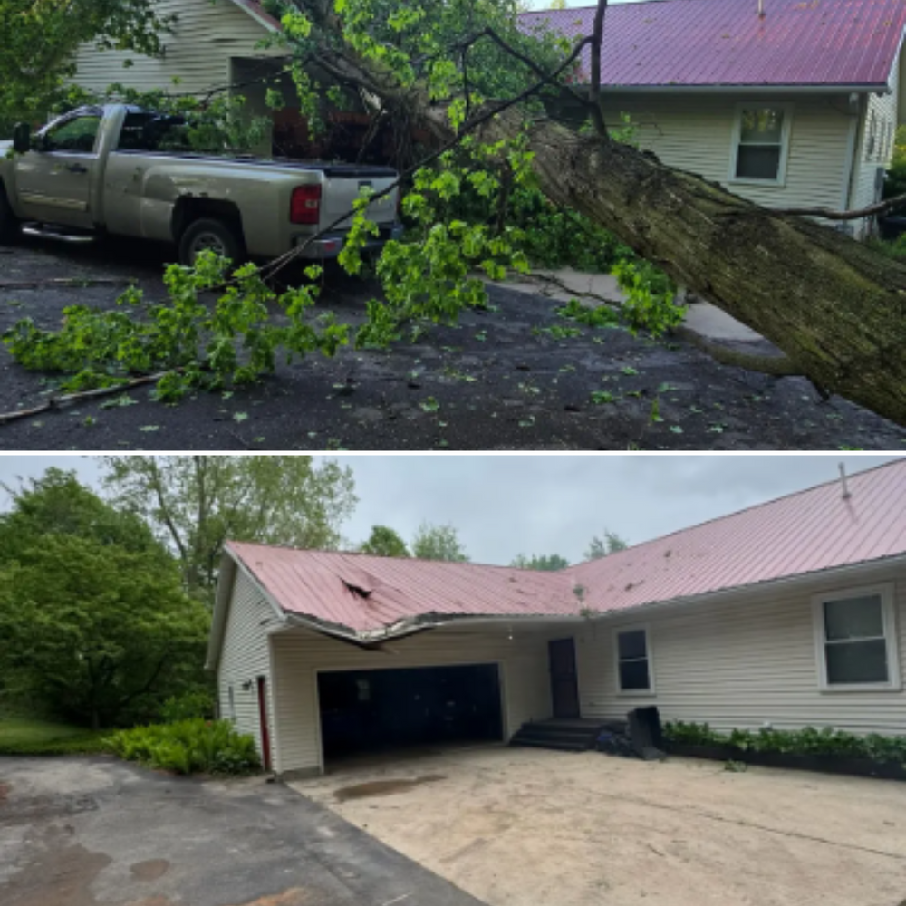 Storm Cleanup: Before and After for Branching Out Tree Service in Hastings, MI