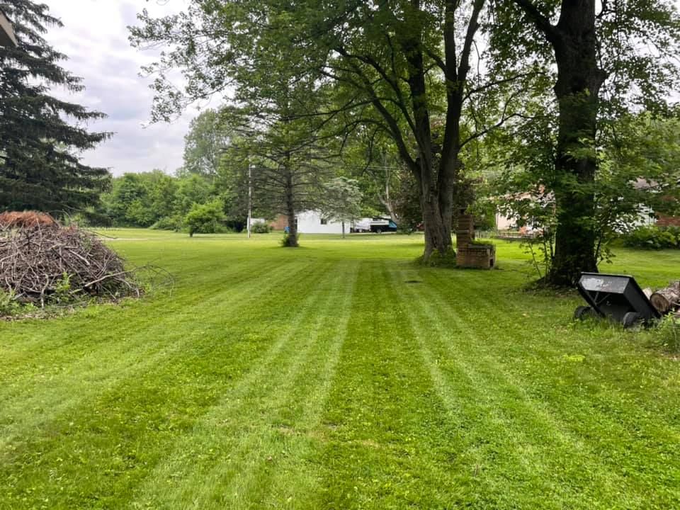 All Photos for Mow Pros in Westland, MI