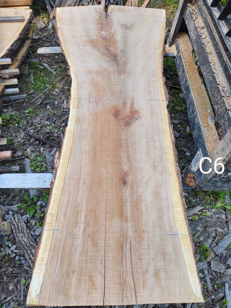 Wood Slabs for Bennett Logging in Gosport, Indiana