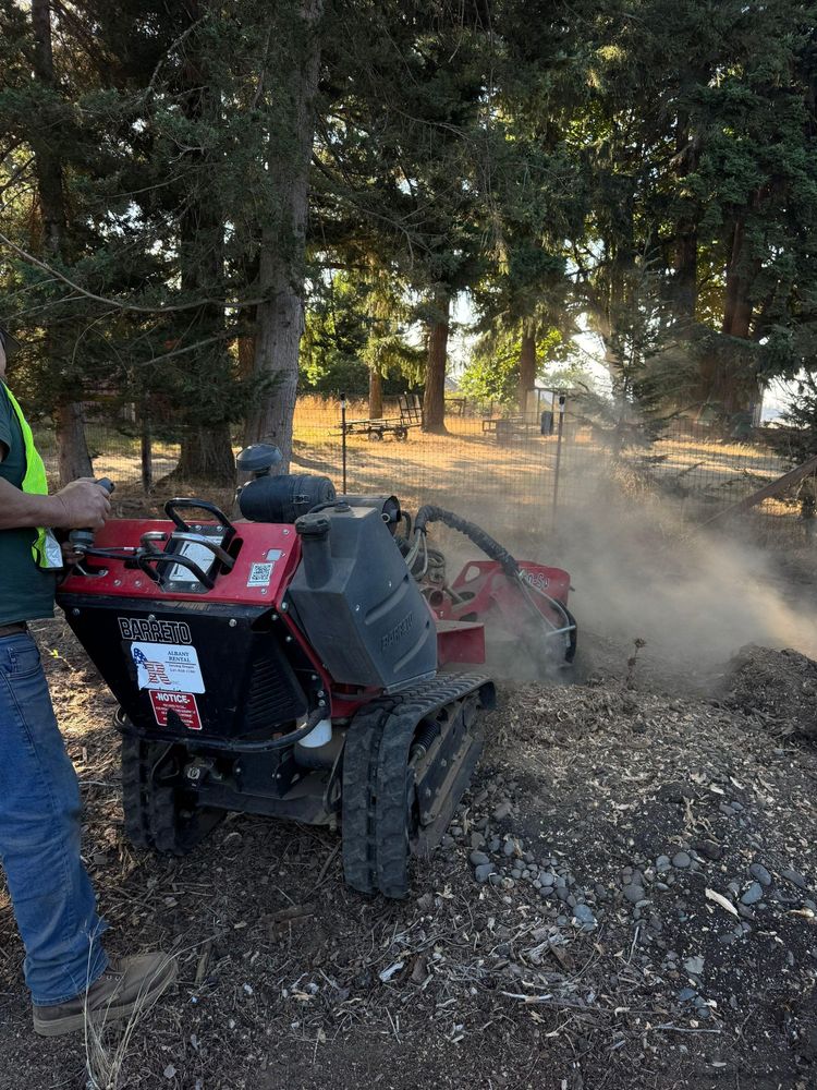 Stump grinding for Willamette Landscaping and Tree Services in Albany, OR