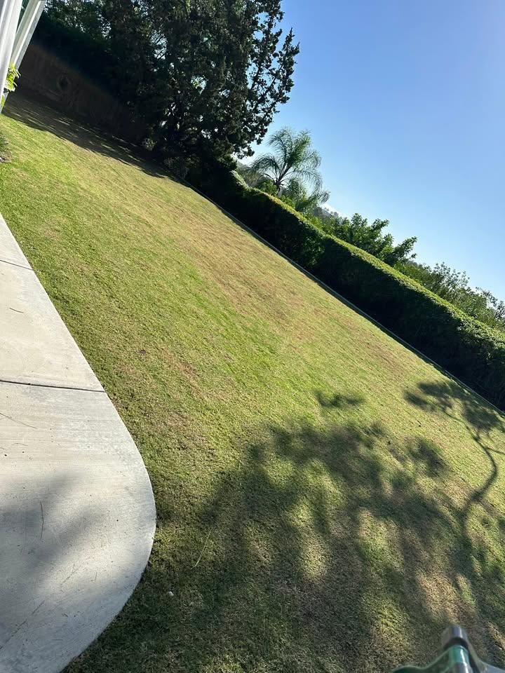 All Photos for Benito's Gardening in San Juan Capistrano, CA