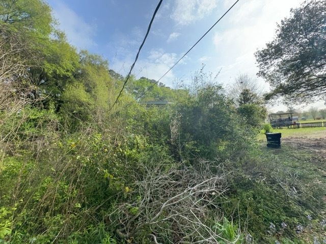 Tree Cleanup  for D&D Services of Pensacola in Pensacola, FL